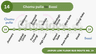 Jaipur Low Floor Bus Route 14: Chomu Pulia to Bassi | Timings, Stops & Info.