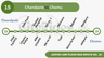Jaipur Bus Route 15: Chandpole to Chomu